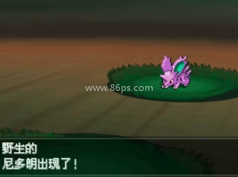 口袋妖怪超透黑2