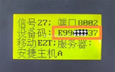 安捷赛鸽