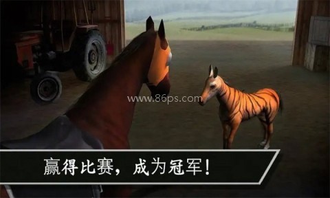 赛马赢得杯赛挑战