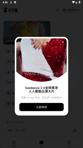 seedance2.0