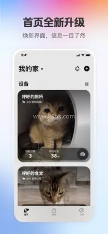 小佩宠物