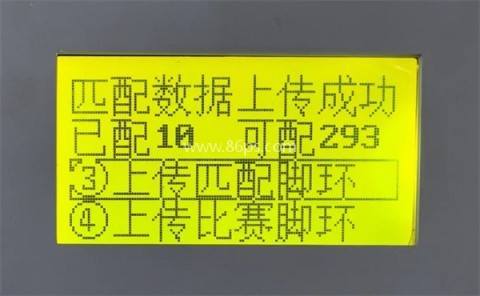 安捷赛鸽
