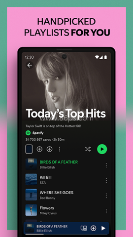 Spotify手机版
