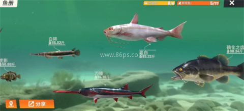 欢乐钓鱼大师百度版 第1张图