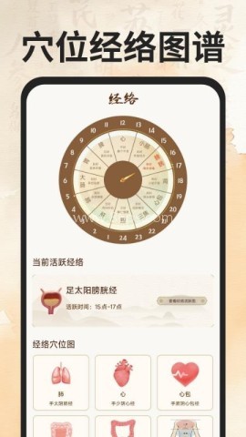 穴位经络图谱