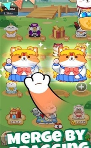 柴柴公园Doggy Park官方版