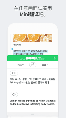 papago安卓版