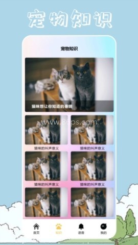 桌面宠物壁纸 第2张图