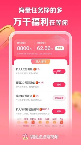 袋鼠点点 袋鼠点点