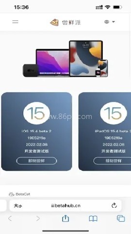 ibeta尝鲜派 第1张图