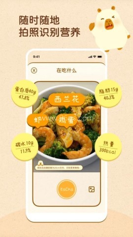 知食AI