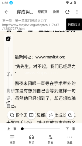 刺猬小说