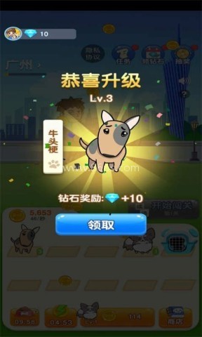 狗狗养成大作战