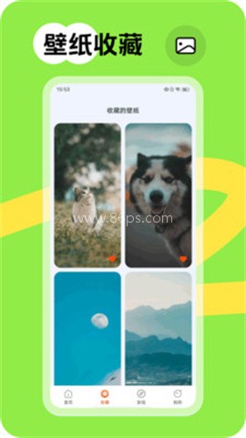 跃动壁纸