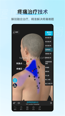 解剖大师