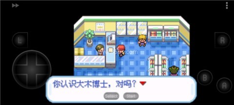 口袋妖怪叶绿金手指版 第3张图
