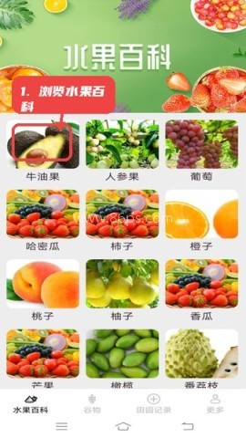 掌上果果多 第1张图