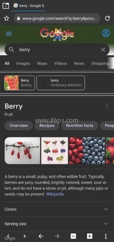 berry浏览器 berry浏览器