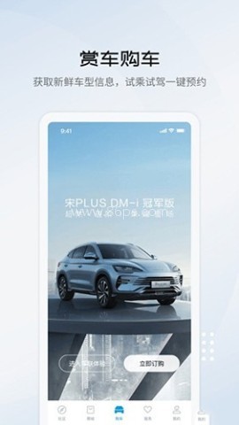 比亚迪海洋官方正版