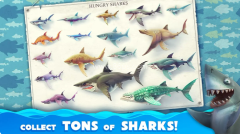hungrysharkworld