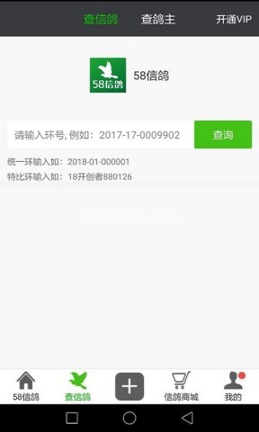 58信鸽