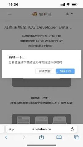 ibeta尝鲜派 第2张图