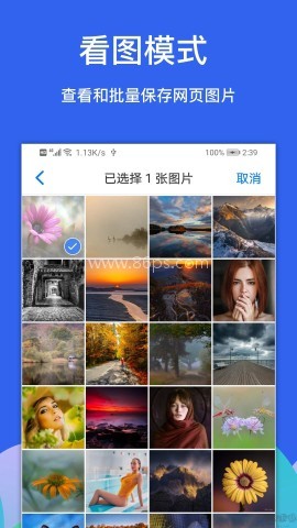 alook浏览器官网版