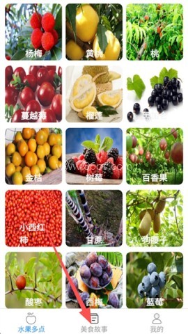 趣点美食 第1张图