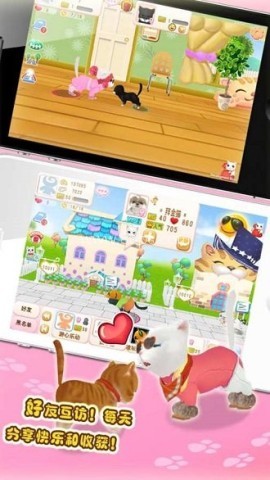 晴天小猫360