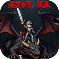 无尽肉鸽炼魂