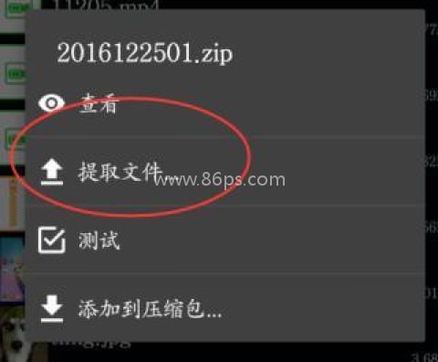 ZArchiverPro蓝色版 第4张图