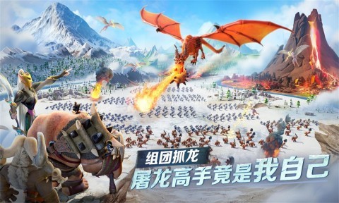 龙与纷争国际服