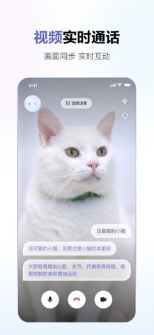 商量ai 商量ai