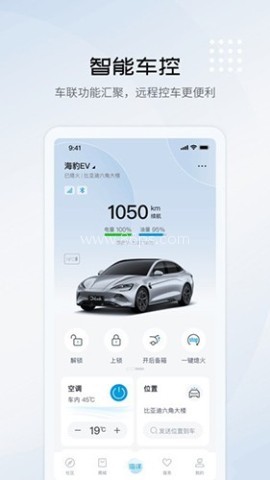 比亚迪海洋官方正版