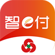 智e付