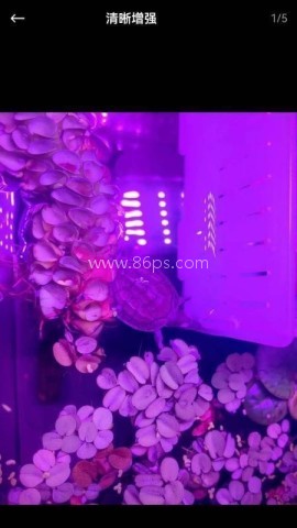 芯图相册