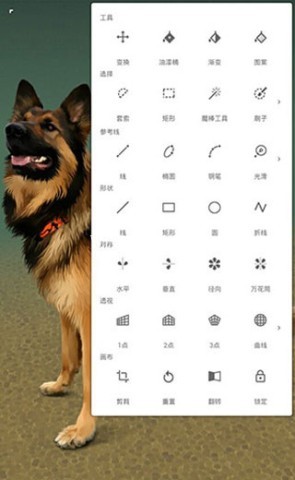 绘画软件painter