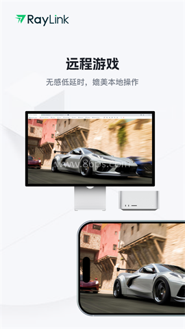 RayLink安卓版
