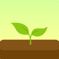 Forest专注森林官方正版