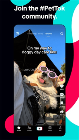 tiktok18+