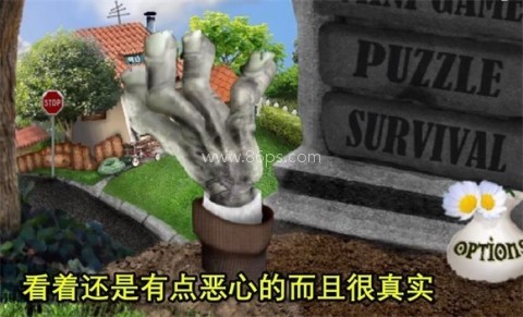 植物大战僵尸现实版 植物大战僵尸现实版