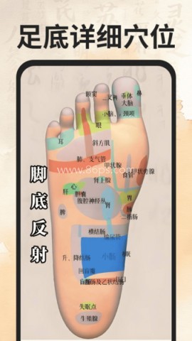 穴位经络图谱