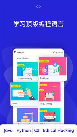 programming hub