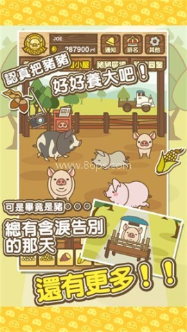 富豪养猪场