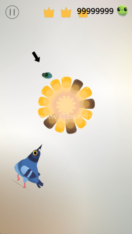 pigeonpop游戏