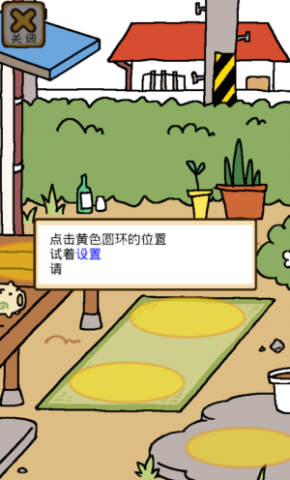 猫咪后院2国际服 第5张图