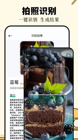 百度识万物app