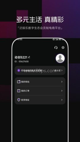 动创数娱