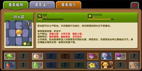 植物大战僵尸Raja版