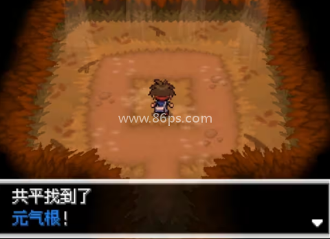 口袋妖怪超透黑2